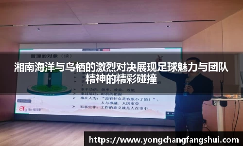 湘南海洋与鸟栖的激烈对决展现足球魅力与团队精神的精彩碰撞
